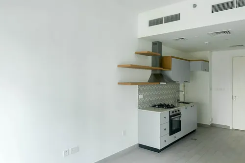 1 Bedroom Apartment in Golfville