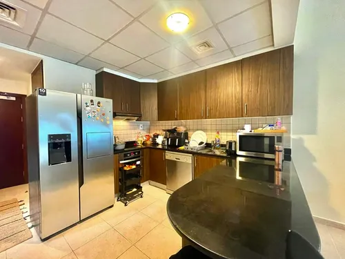 1 Bedroom Apartment in Elite Residence