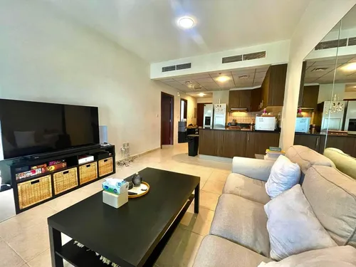 1 Bedroom Apartment in Elite Residence