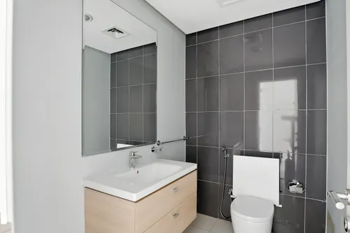 1 Bedroom Apartment in Golf Vista 2