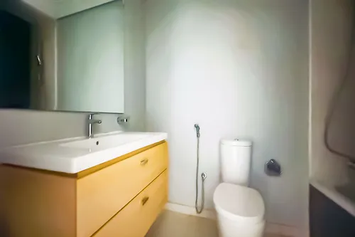 1 Bedroom Apartment in Golf Vista 2