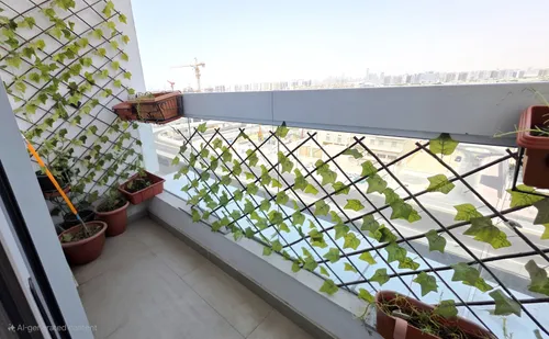 2 Bedrooms Hotel Apartment in Azizi Star