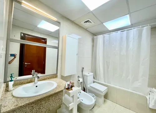 1 Bedroom Apartment in Lake Point Tower