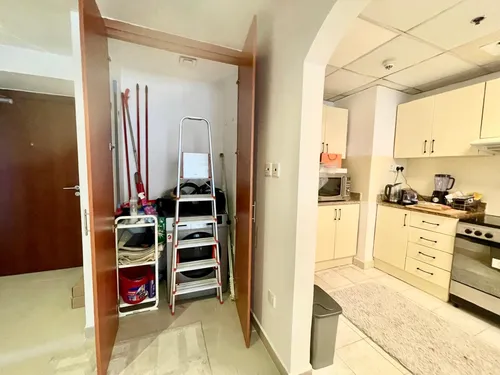 1 Bedroom Apartment in Lake Point Tower
