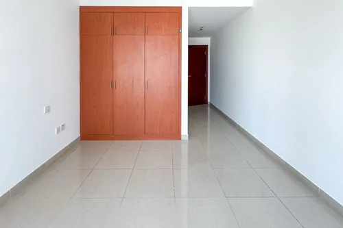 1 Bedroom Apartment in Lake Point Tower