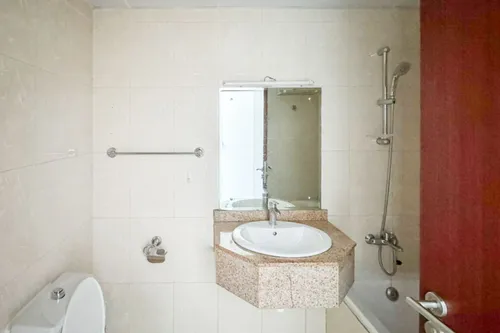 1 Bedroom Apartment in Lake Point Tower