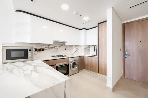 1 Bedroom Apartment in 555 Park Views