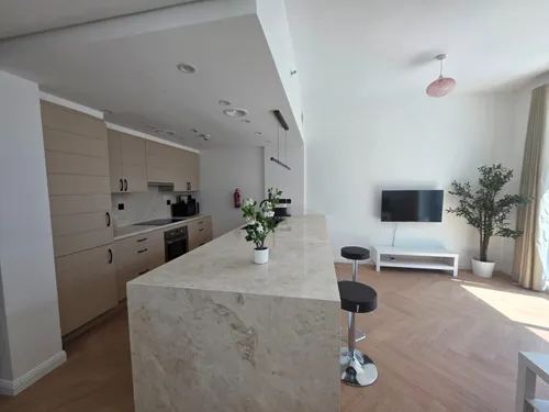  Apartment in Burj Views podium