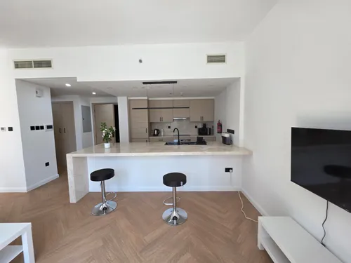  Apartment in Burj Views podium