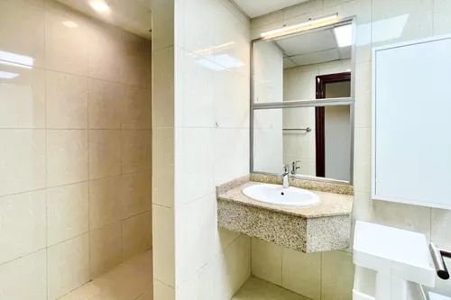 1 Bedroom Apartment in Lake Point Tower