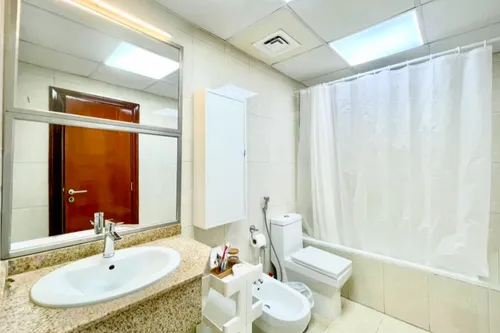 1 Bedroom Apartment in Lake Point Tower