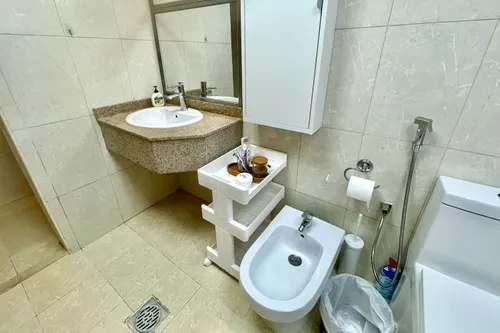 1 Bedroom Apartment in Lake Point Tower