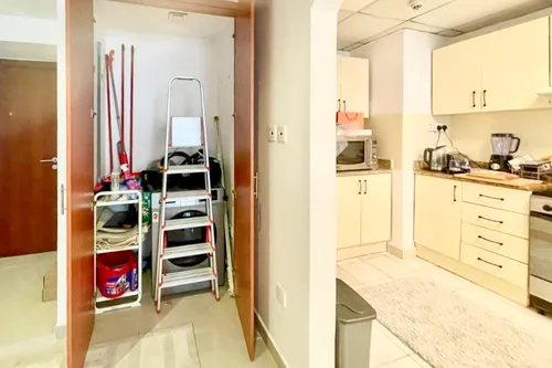 1 Bedroom Apartment in Lake Point Tower