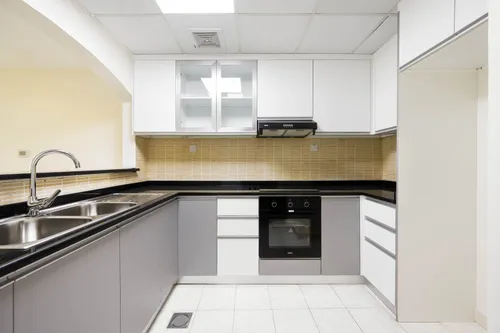 2 Bedrooms Apartment in Lake Point Tower