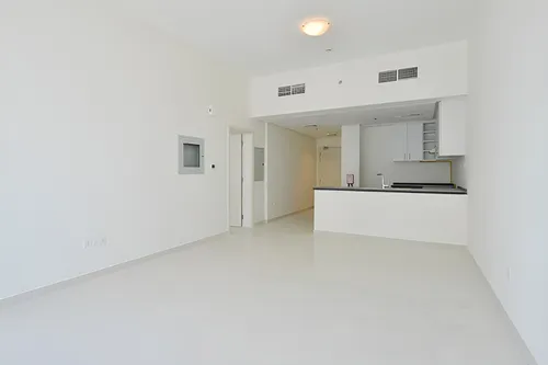 1 Bedroom Apartment in Golf Vista 2