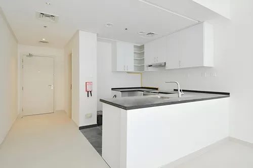 1 Bedroom Apartment in Golf Vista 2