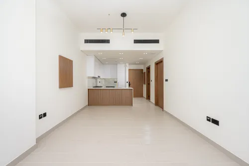 1 Bedroom Apartment in Binghatti Amber