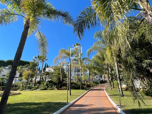 16 Bedrooms House / Villa in Paraiso Alto