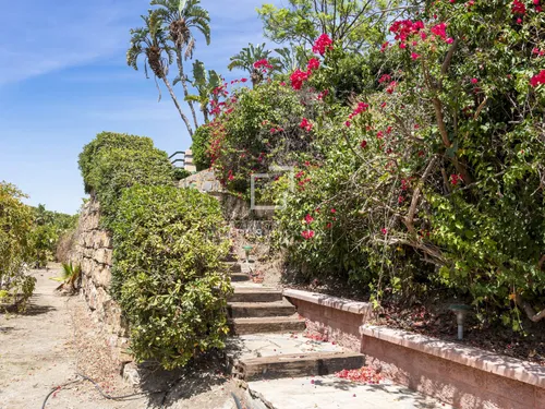 5 Bedrooms House / Villa in Cerro Alonso Diaz