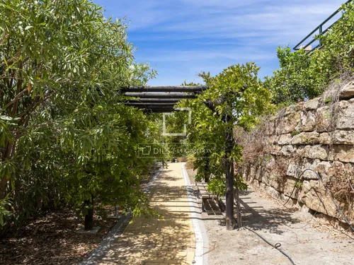 5 Bedrooms House / Villa in Cerro Alonso Diaz