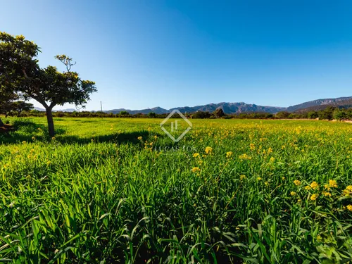 3 Bedrooms House / Villa in Baronia de Terrades