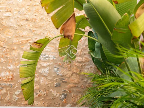 3 Bedrooms House / Villa in Sant Domingo