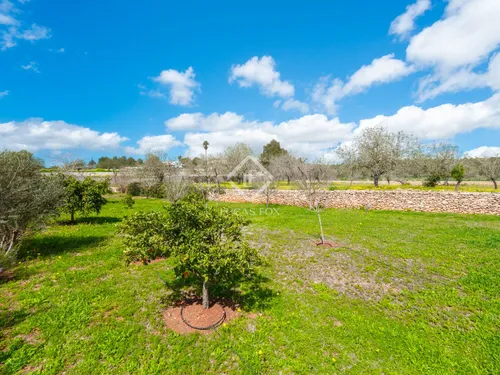 4 Bedrooms House / Villa in DS SA BASSA ROJA