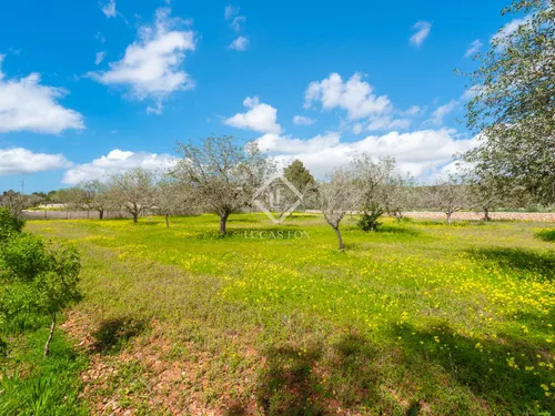 4 Bedrooms House / Villa in DS SA BASSA ROJA