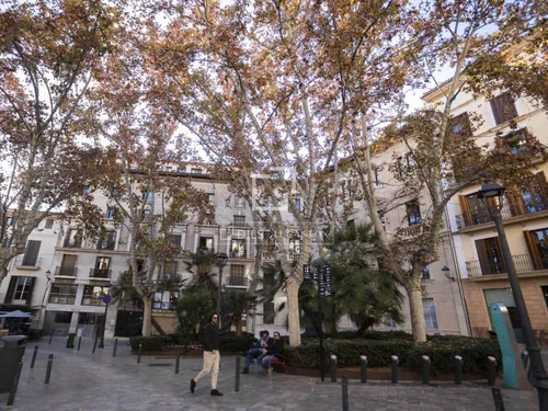 2 Bedrooms Apartment in plaza santa eulalia