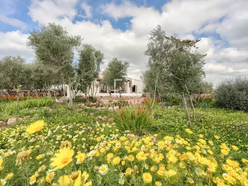 8 Bedrooms Country house in Ma-6015