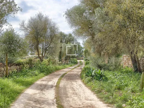 8 Bedrooms Country house in Ma-6015