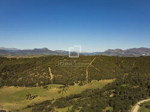 7 Bedrooms Country / Sporting Estate in Arroyo La Morisca