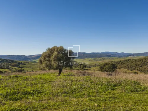 7 Bedrooms Country / Sporting Estate in Arroyo La Morisca