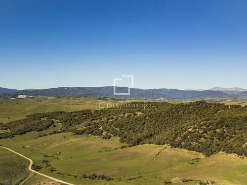 7 Bedrooms Country / Sporting Estate in Arroyo La Morisca