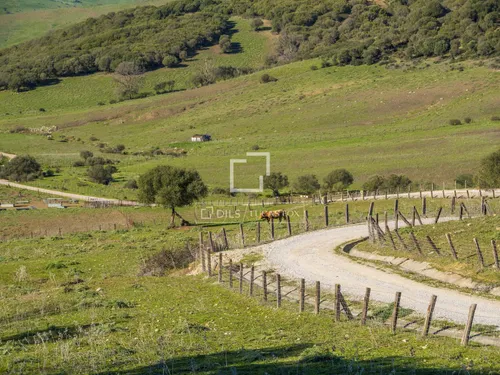 7 Bedrooms Country / Sporting Estate in Arroyo La Morisca