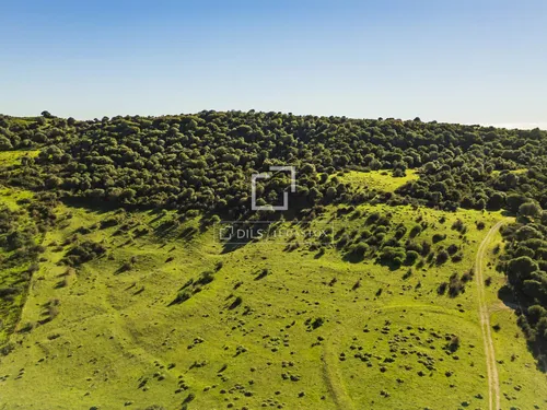 7 Bedrooms Country / Sporting Estate in Arroyo La Morisca