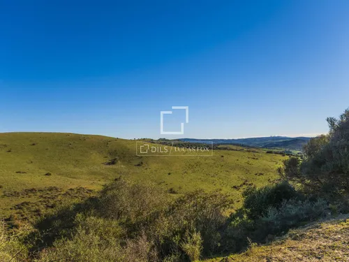 7 Bedrooms Country / Sporting Estate in Arroyo La Morisca