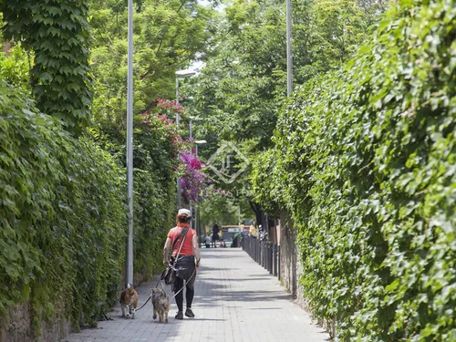 5 Bedrooms Apartment in Nena Casas