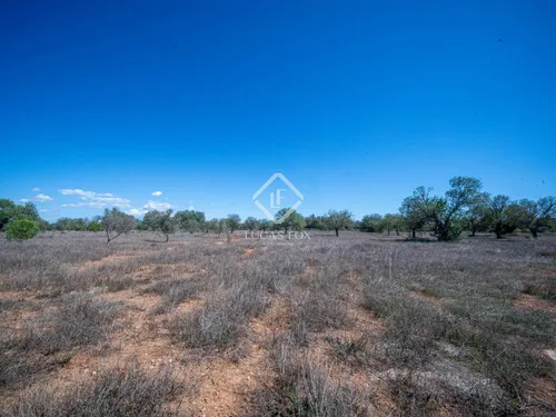 6 Bedrooms Country house in Poligono 43 parcela