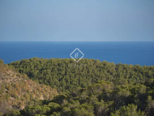 7 Bedrooms House / Villa in carre medinacelli