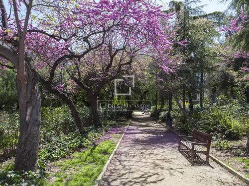 4 Bedrooms Apartment in Mestre Nicolau