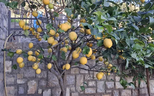 2 Bedrooms Villa in Budva