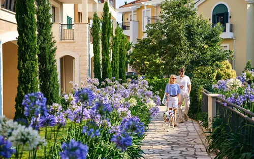 1 Bedroom Apartment in Lustica