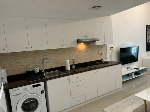 Apartment in Lincoln Park Sheffield