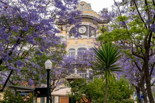 Apartment in Marvila