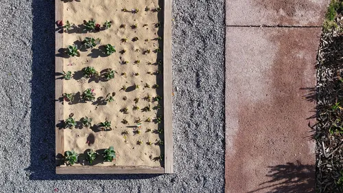 1 Bedroom Apartment in São Vicente