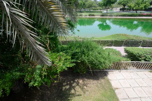 3 Bedrooms Villa in Springs 15