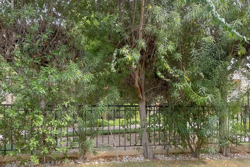 2 Bedrooms Villa in Palmera 3