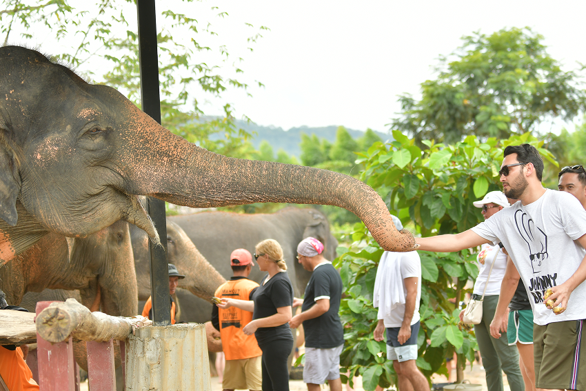 Experience our culture