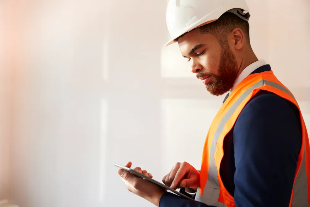 Snagging and inspection